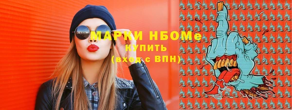 хмурый Абаза