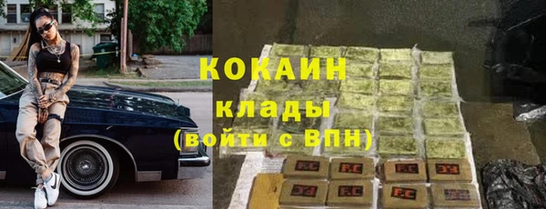 хмурый Абаза