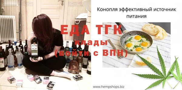 хмурый Абаза
