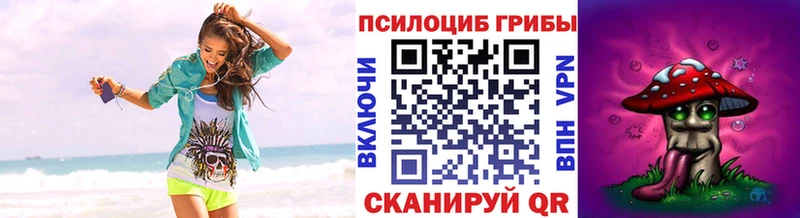 Псилоцибиновые грибы MAGIC MUSHROOMS Александровск